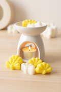 Wax melts luxury brand