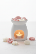 Wax melts Moussel claro